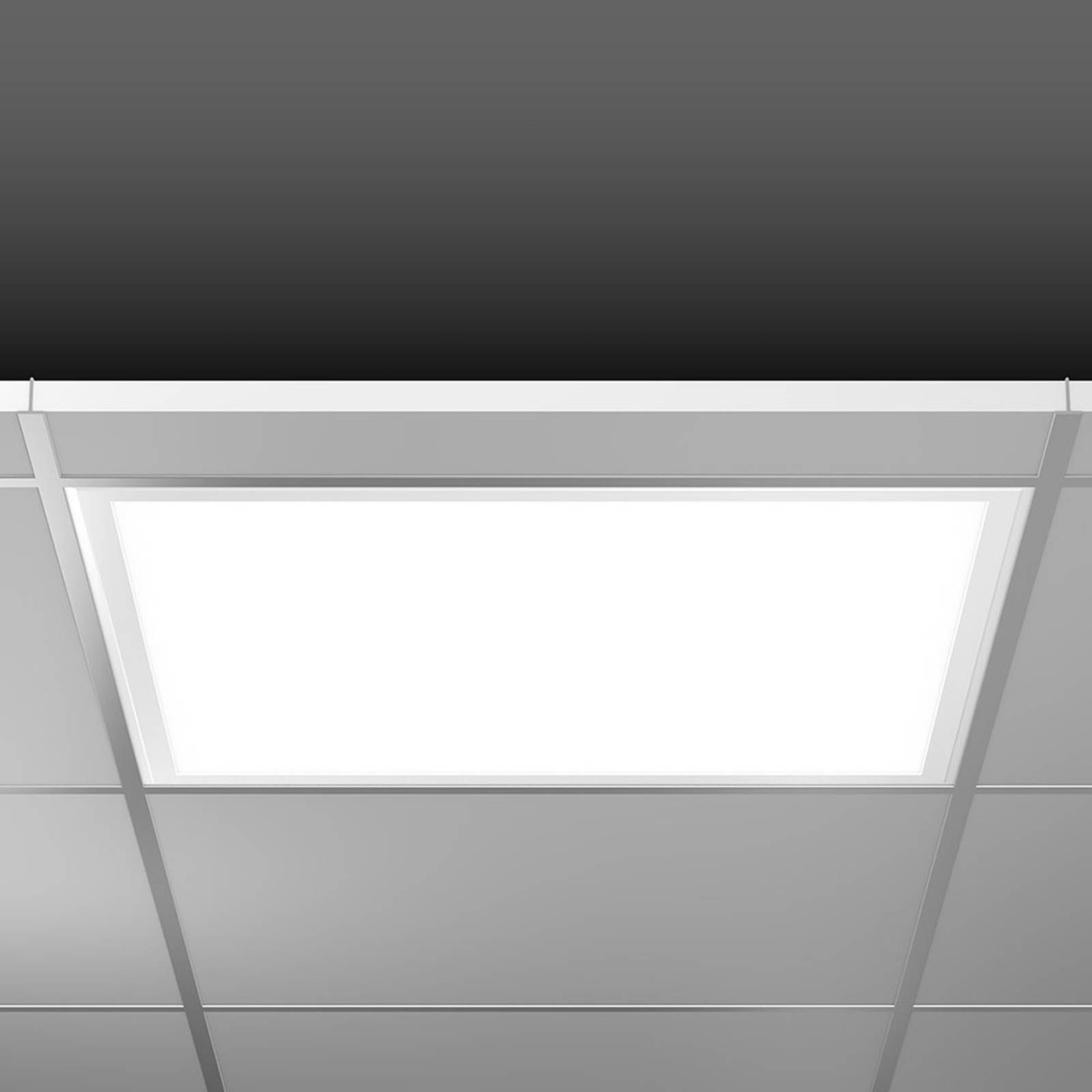 BEGA RZB Sidelite Eco panel LED DALI 62,2cm 29W 830