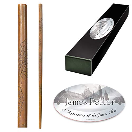 The Noble Collection James Potter Character ścian