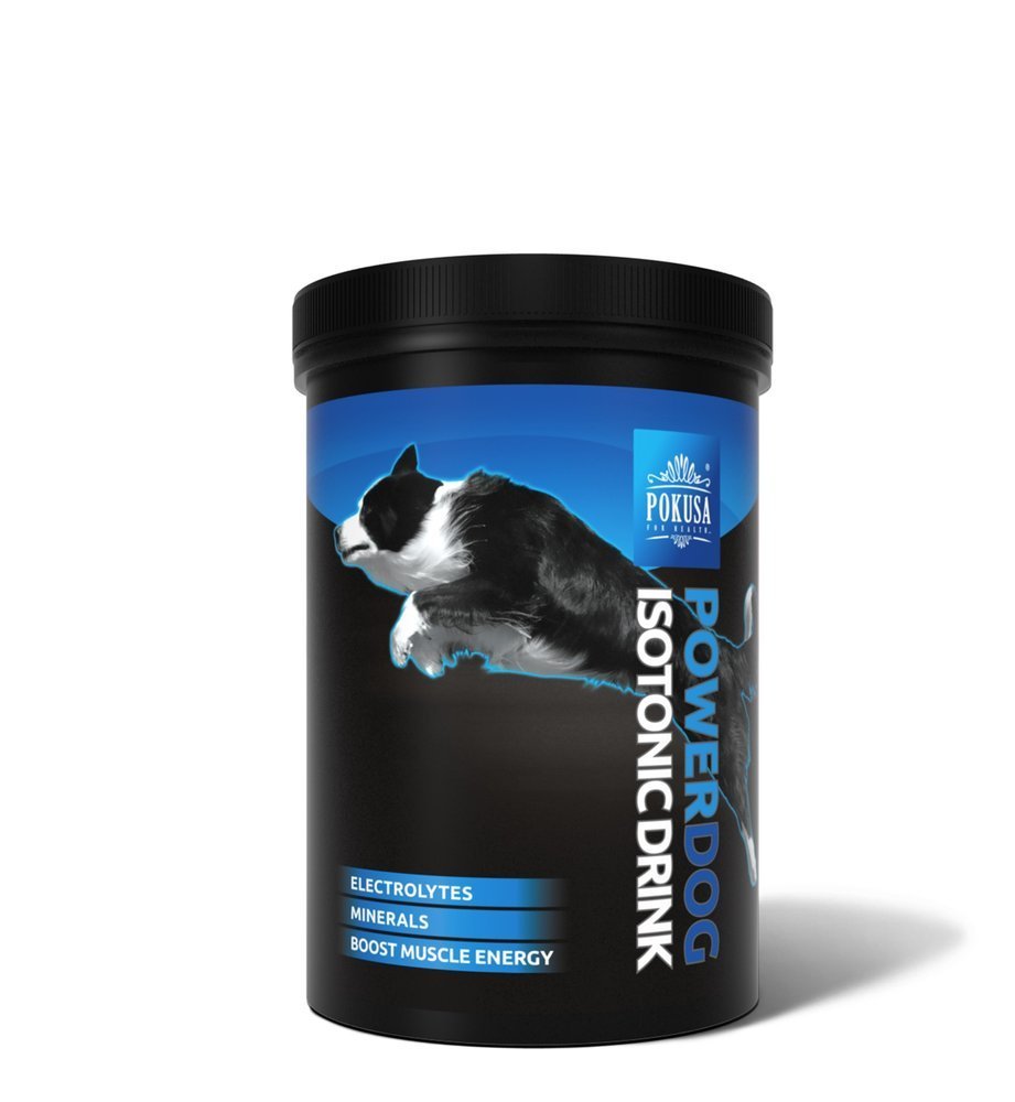 Pokusa FOR HEALTH PoweDog Isotonic Drink 300g