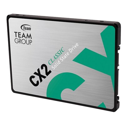 Team Group CX2 (T253X6256G0C101)