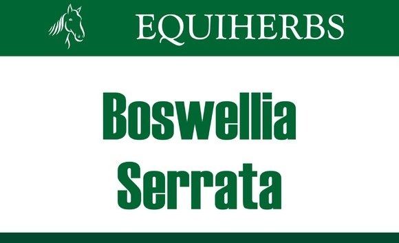 EQUIHERBS Boswellia Seratta Kadzidłowiec 0,5 kg -