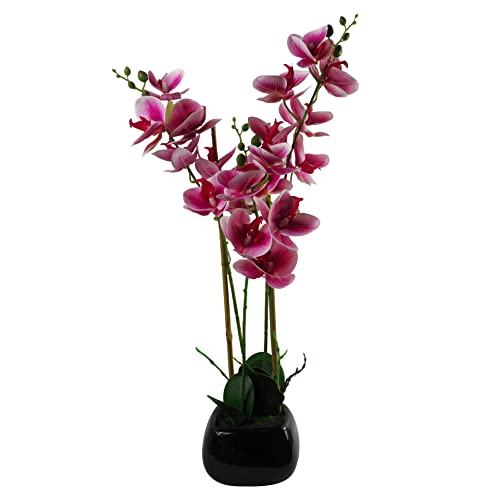 Liść 70 cm sztuczna orchidea ciemnoróżowa z czarną ceramiczną donicą, materiały mieszane