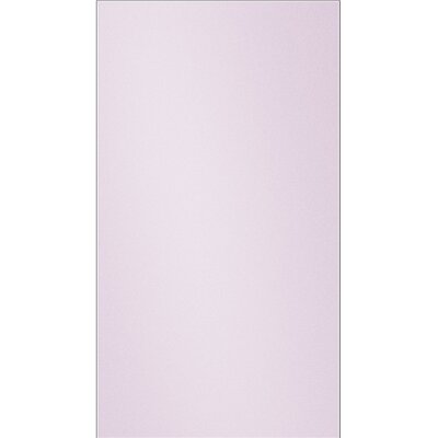 Samsung Panel BESPOKE RA-B23EUUCLGG Raty RA-B23EUUCLGG