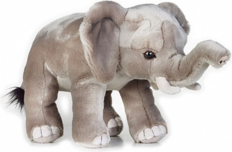 Dante Pluszak National Geographic Słoń afrykański szary 25 cm 003-70717
