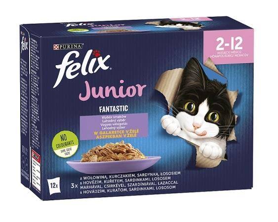 Nestle FELIX Fantastic Junior Kurczak 12x85g) pełnowartościowa mokra karma dla kociąt