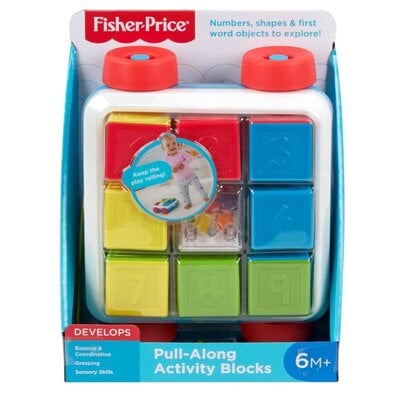 Fisher Price Fisher-Price Aktywizujące klocki do ciągnięcia GJW10