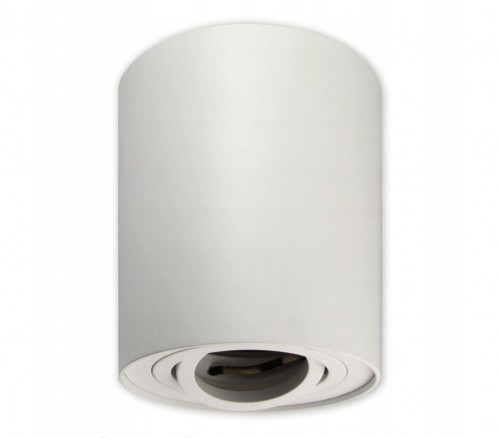 Masterled Devo lampa sufitowa tuba kierunkowa 1xGU10 biała 0133lv