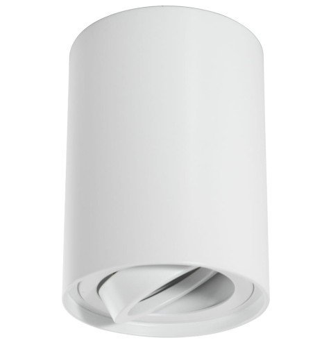 Masterled Valse lampa sufitowa tuba kierunkowa biała 1124lv