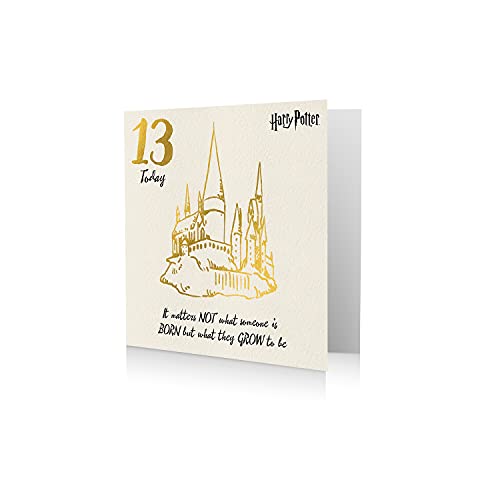 Danilo Promotions Oficjalna kartka urodzinowa Harry Potter, 13 Dziś HP043