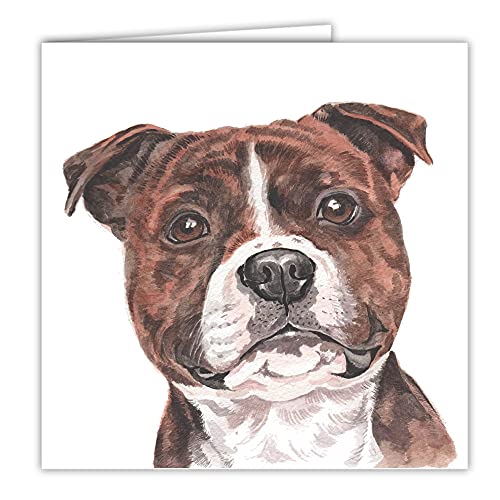 Maturi Waggy Dogz otwarta kartka okolicznościowa - kartka Staffordshire Bull Terrier - autorstwa Christine Varley.. 441012