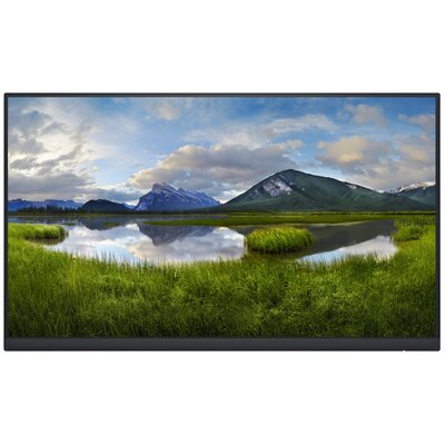 Dell P2422HEWO