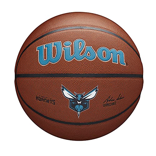 NBA Team Composite Basketball Charlotte Hornets