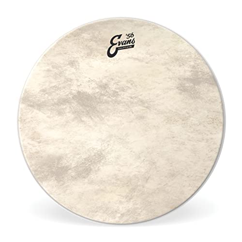 Evans evans bd26ct Bass Drum sierści BD26CT