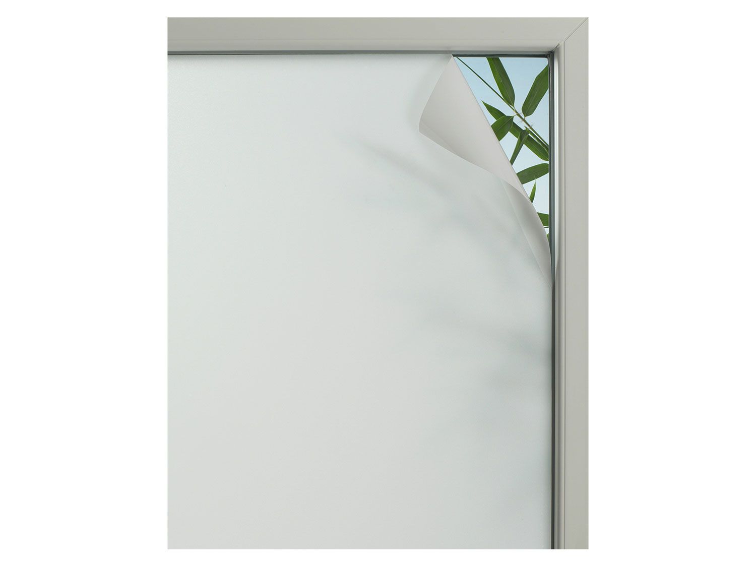 Gardinia Gardinia Folia na okno, statyczna, 1 sztuka (67,5 x 150 cm, Privacy 75) 4003018358329