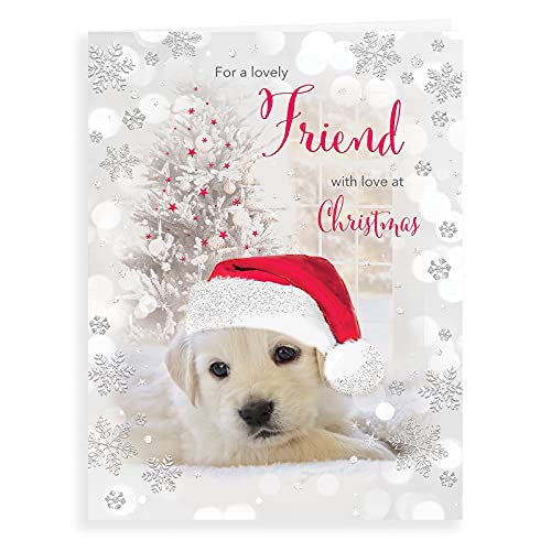 Piccadilly Greetings Zdjęcie Boże Narodzenie kartka przyjaciel - 20 x 15 cm - Piccadilly Greetings A41297