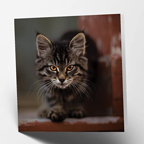 Maturi Kwadrat pusta kartka z życzeniami urodzinowymi 441058