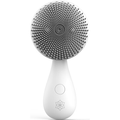 Opinie o Arum Złoty