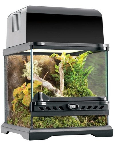 Exoterra EXOTERRA Terrarium szklane NANO 20x20x20cm 26506-uniw