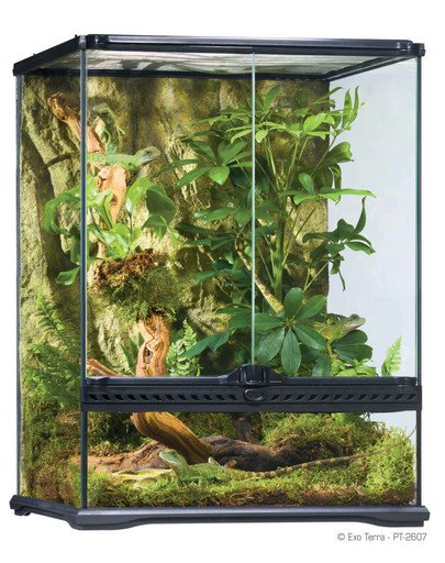 Exoterra EXOTERRA Terrarium szklane SMALL 45x45x60cm 26508-uniw