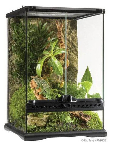 Exoterra EXOTERRA Terrarium szklane MINI 30x30x45cm 26510-uniw