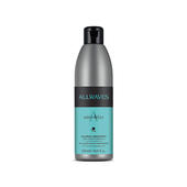 Allwaves Szampon Anti-frizz 1000ML