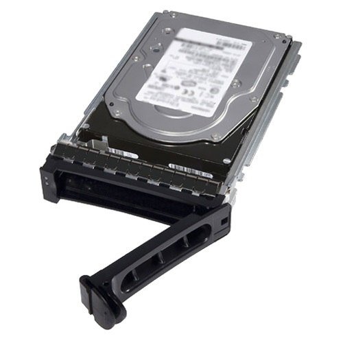 Dell Customer Kit - hard drive - 12 TB - SAS 12Gb/s Dysk twardy - 12 GB - 3.5