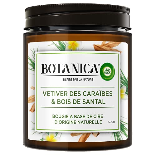 Botanica by Air Wick duża świeca zapachowa XL – do 90 godzin – zapach: słodka trawa i drzewo sandałowe – zrównoważona produkcja z naturalnych składników – 1 x 500 g świeca w słoiku