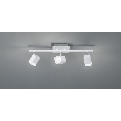 RL ROUBAIX R82153131