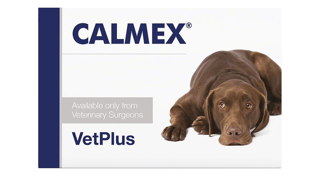 Vet Plus Limited CALMEX suplement uspokający dla psów 10 tabletek 50318112500209