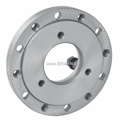 Bison S.a S.a TARCZA ZABIERAKOWA 8230-250-8-X BIAL