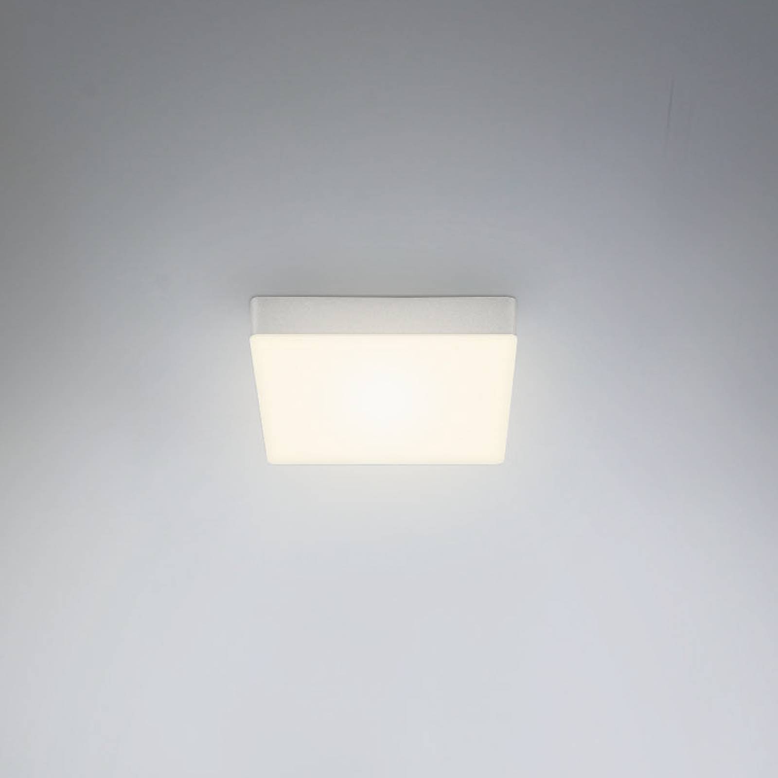Briloner Lampa sufitowa LED Flame, 15,7 x 15,7 cm, srebrna