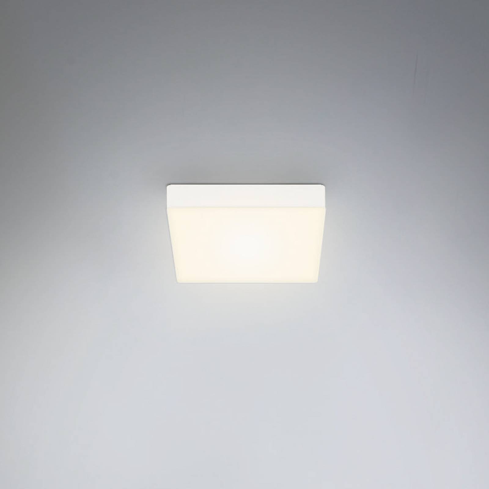 Briloner Lampa sufitowa LED Flame, 15,7 x 15,7 cm, biała
