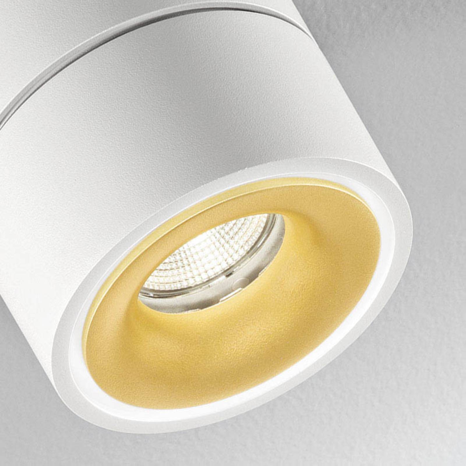 EGGER LICHT Egger Clippo Duo spot LED, biało-złoty 3 000 K