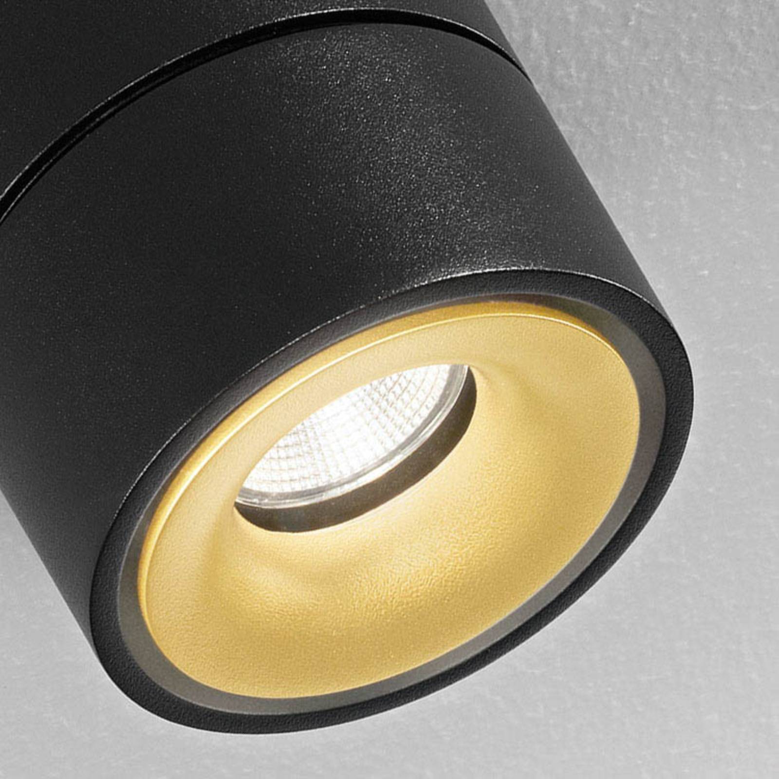 EGGER LICHT Egger Clippo Duo spot LED, czarno-złoty 3 000 K