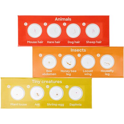 Zestaw preparatów DISCOVERY Fauna 12