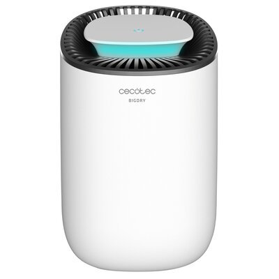 Cecotec BigDry 2000 Light