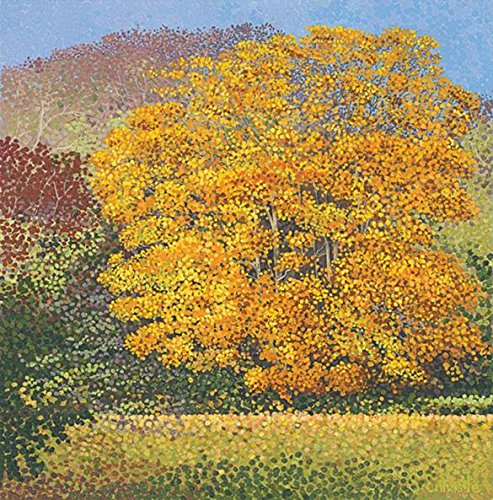 Susan Entwistle Susan Entwistle Karnet z kopertą Klon 441275