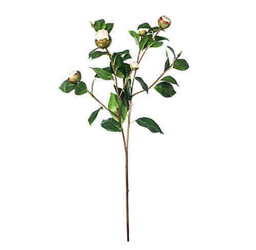 EUROCINSA Ref.61802C01 białe czapki kamelii, pudełko 12, 70 cm