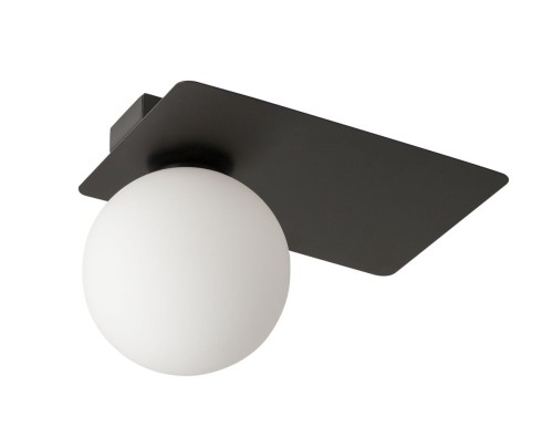 Sigma Nowoczesny plafon do biura i domu ARGON G9 12W szer. 25cm czarny 33273