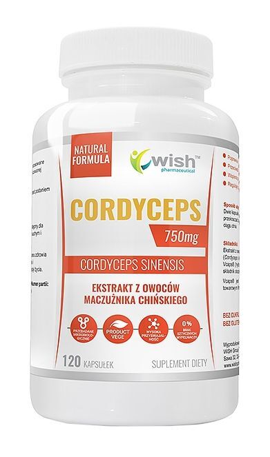 TOMASZ KACZMARCZYK WISH GROUP Wish Cordyceps 750 mg 120 kapsułek