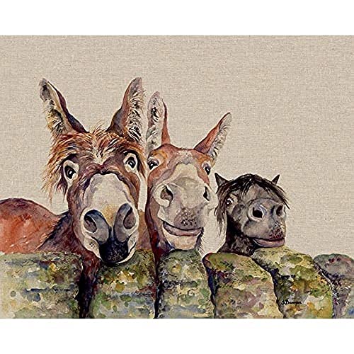 Pyramid Posters Johnny, Freckles & Halfpint - obraz na płótnie 50x40 WDC94810