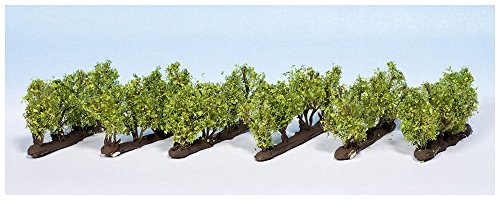 Noch Jeszcze 21545  winorośli, 24 sztuk, 1.6 cm wysokości