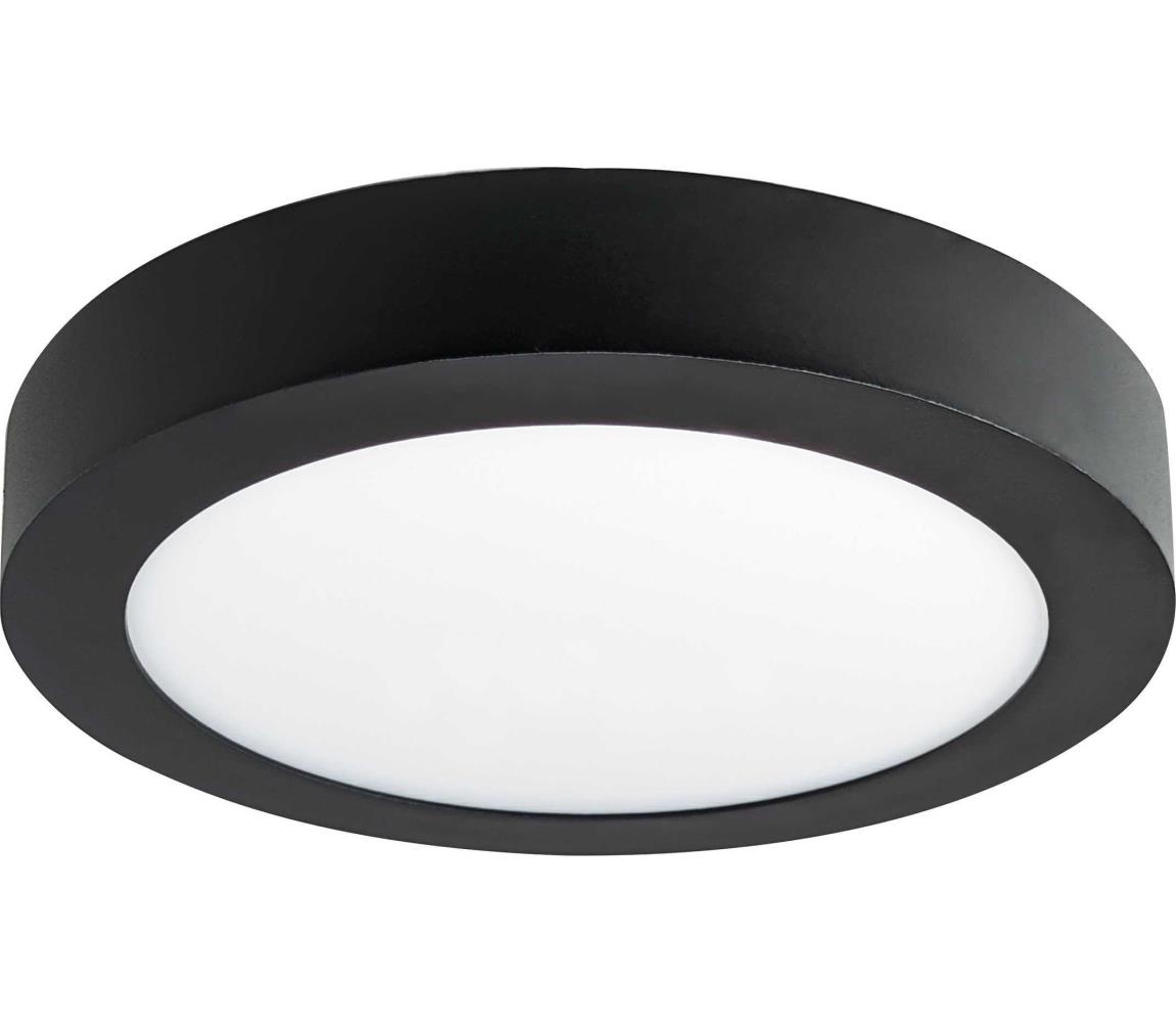 LED Plafon FENIX LED/18W/230V 2800K