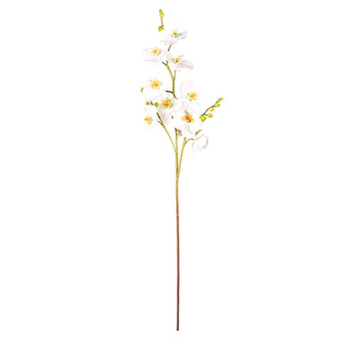 EUROCINSA Ref.43534C01 Orchidea PhALAENOPSIS, pudełko z 6 sztukami, białe, 108 cm