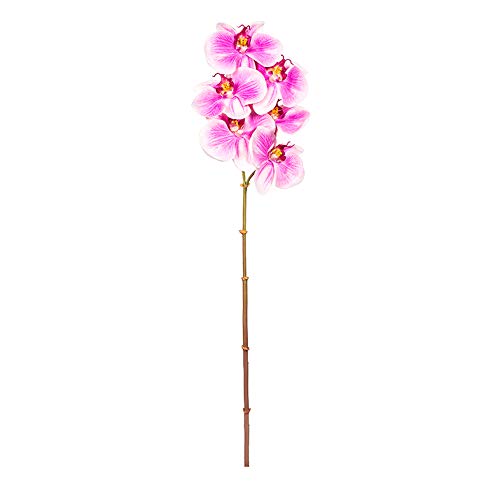 EUROCINSA Ref.43434C61 storczyk PHALAENOPSIS, pudełko 12 szt, lawenda, 56 cm