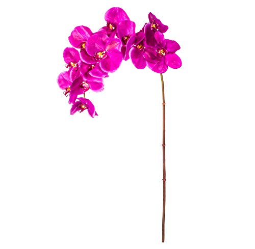 EUROCINSA Ref.43114C63 orchidea PhALAENOPSIS, pudełko z 6 sztukami, lawenda, 112 cm