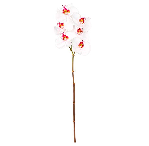 EUROCINSA Ref.43434C21 orchidea PHALAENOPSIS, pudełko 12 sztuk, różowe, 56 cm