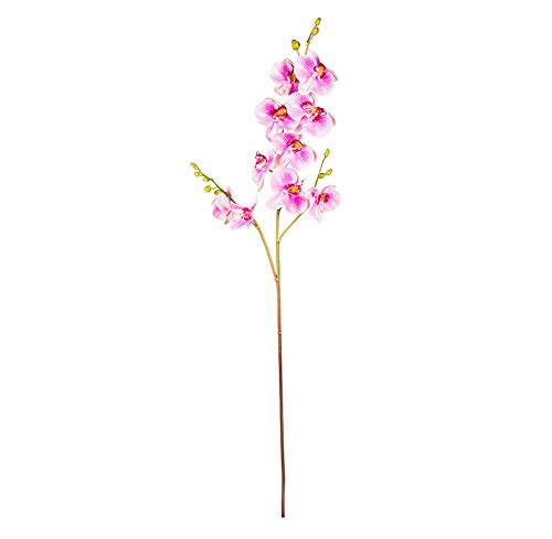EUROCINSA Ref.43534C61 orchidea PhALAENOPSIS, pudełko z 6 sztukami, lawenda, 108 cm