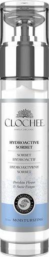 Clochee CLOCHEE_Hydroactive Sorbet hydroaktywny sorbet do twarzy 50ml