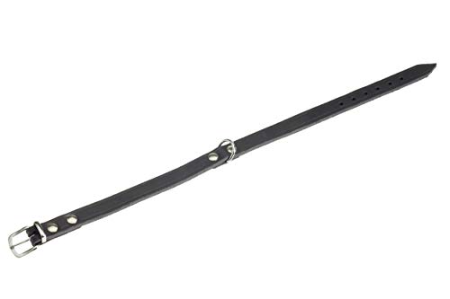 Karlie Flamingo 02054 Rondo Halsband